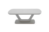 Load image into Gallery viewer, Lazzaro Coffee Table - Grey (007)